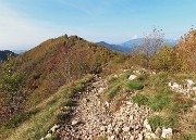 Alla Madonnina del Costone (1195 m) in veste autunnale da Salmezza-21ott24 - FOTOGALLERY